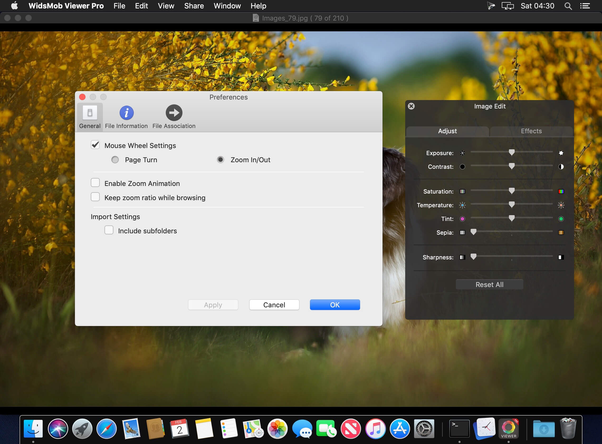 Software Installation Process