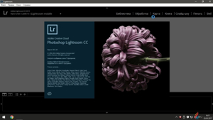 PluralEyes Workflow