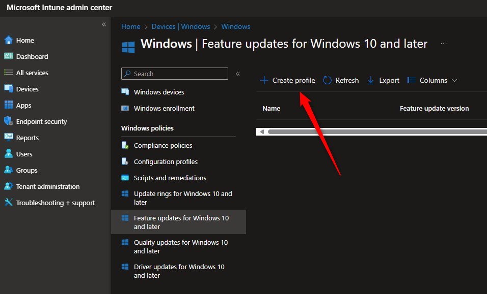 Windows 11 Enterprise Installation