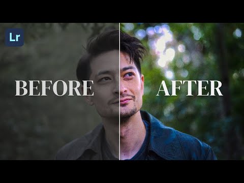 Hiệu ứng Bloom và Halation trong Dehancer Pro