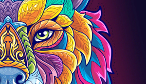CorelDRAW 2024 Installation