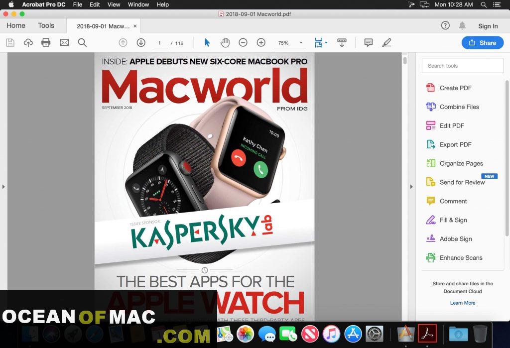 Adobe Acrobat Pro DC 2021 Interface