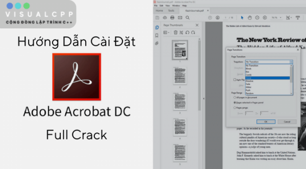 Adobe Product Family