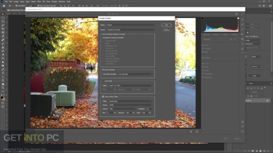 Camera Raw Features