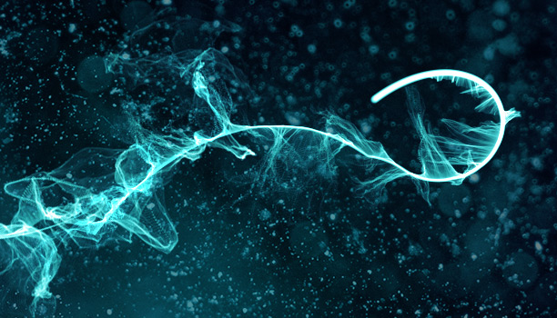 Trapcode Particular 5.0.3 interface
