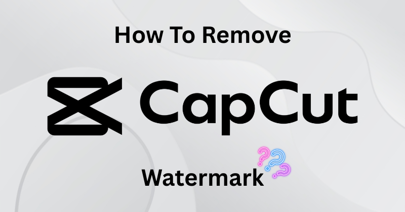 CapCut AI features