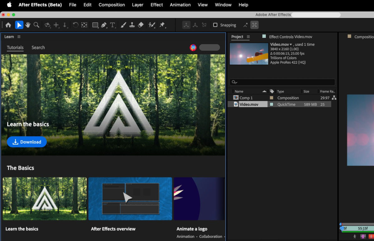 After Effects Learn Panel