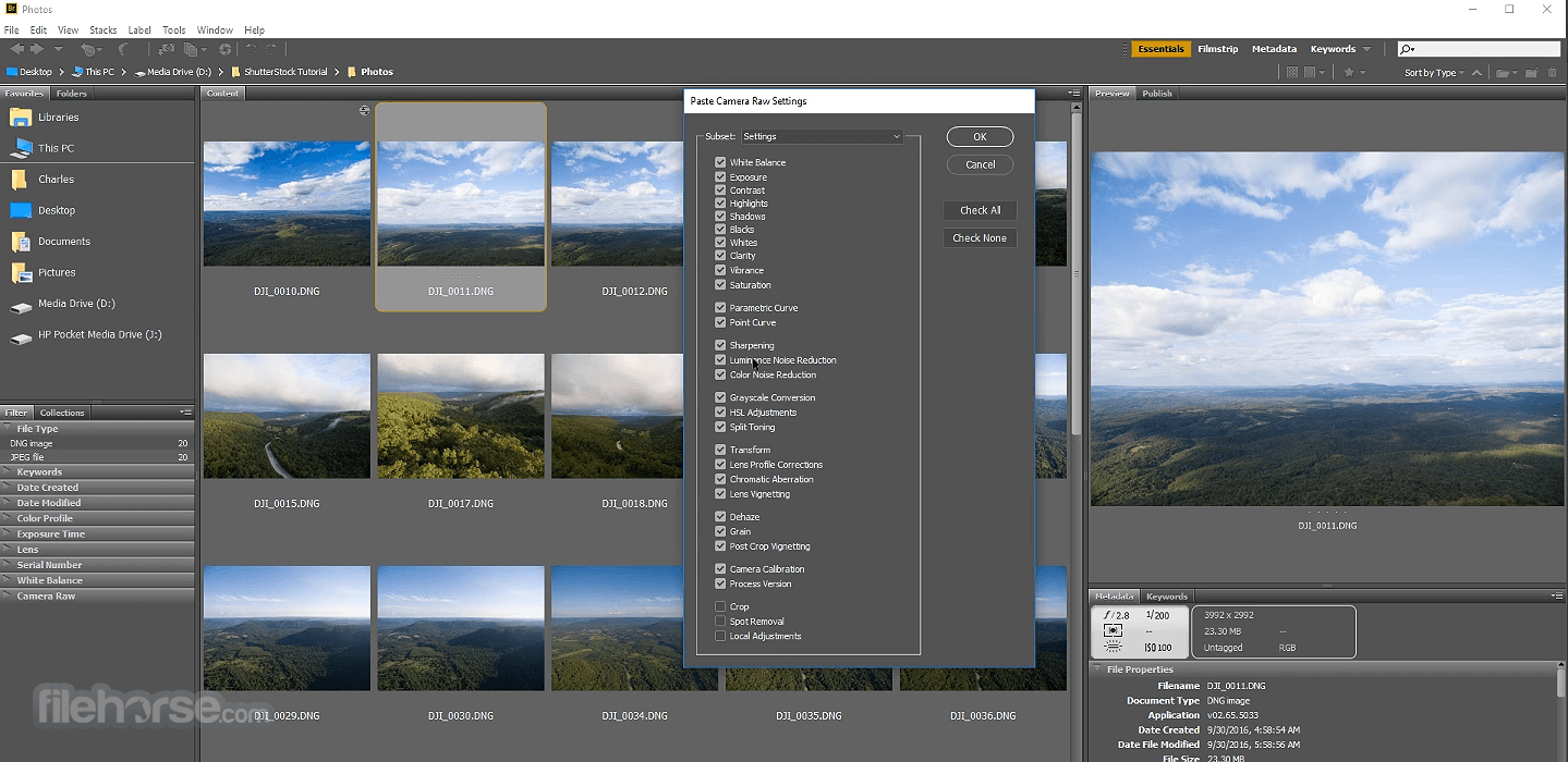 Giao diện Adobe Bridge 2022