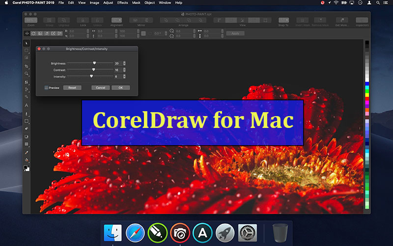 CorelDRAW trên MacBook