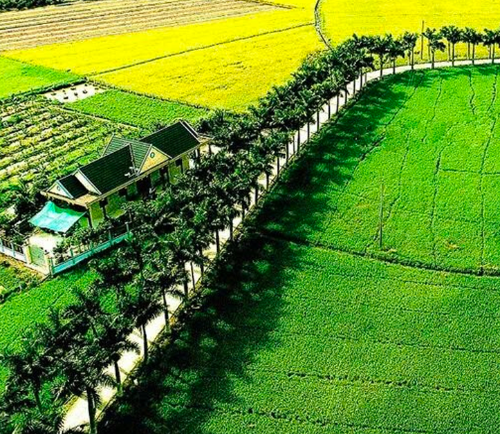 Phát triển đô thị tại huyện Đức Hòa