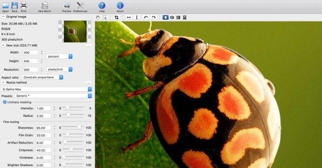 BluffTitler Templates Collection