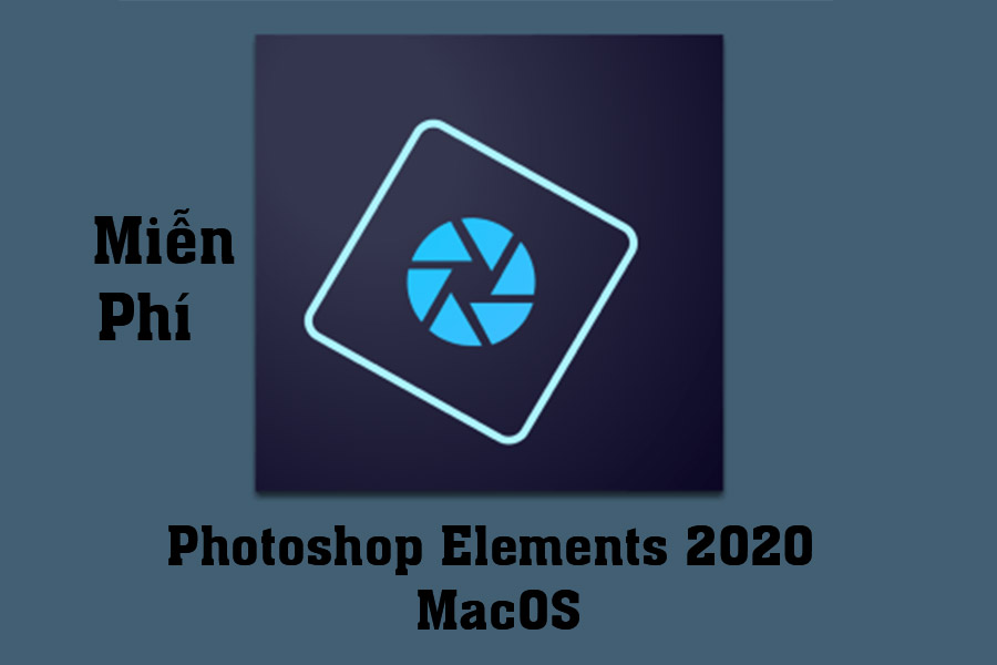 Magic Bullet Interface Example