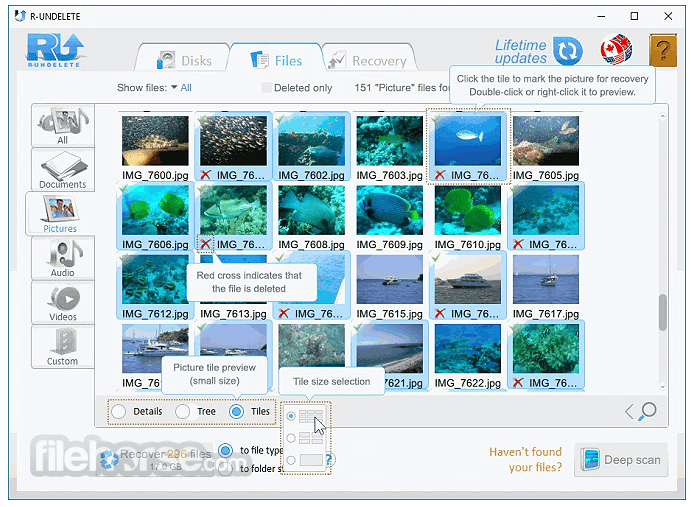 Preview feature in iTop Data Recovery