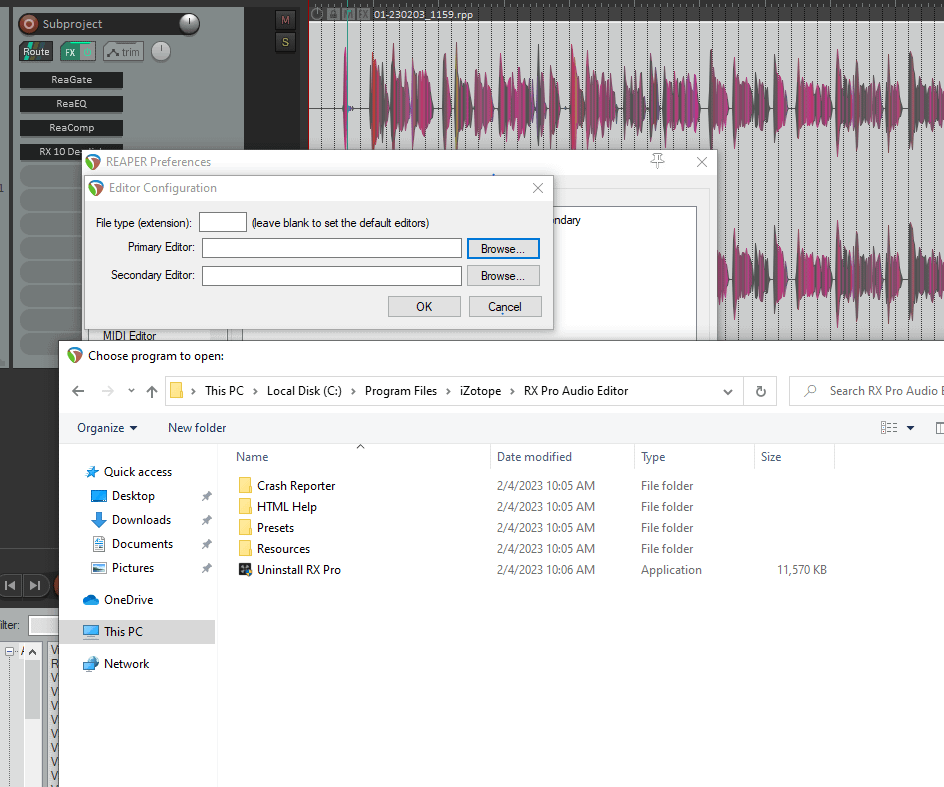 iZotope RX 10 DAW Integration Issue