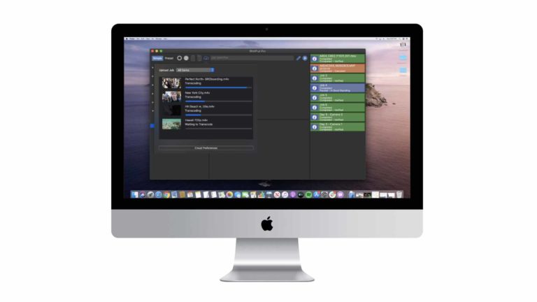 PluralEyes Interface