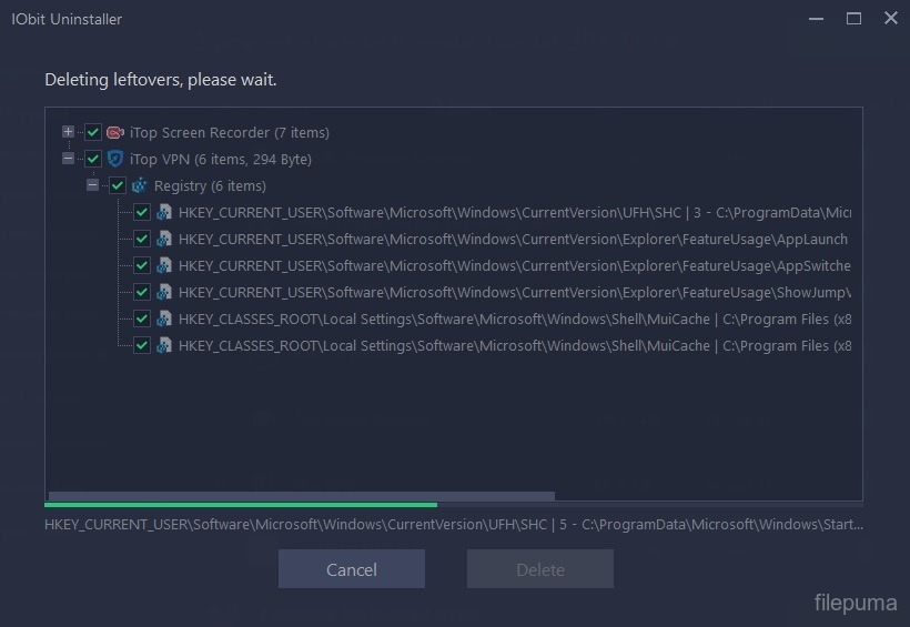 IObit Installation Process
