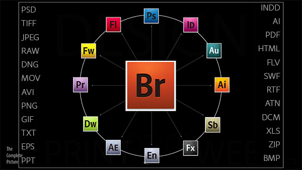 Adobe Bridge CC tích hợp với Acrobat Pro DC