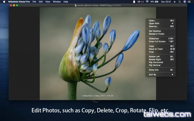 Windows 10 Pro Interface